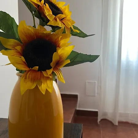 Сasa de vacaciones Casa Julio Tordesillas